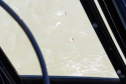 Neste final de semana, o helicóptero Falcão 8 foi acionado para o resgate de três pessoas que estavam se afogando no Litoral. Um jovem está internado no Hospital Regional de Paranaguá. Conforme o Corpo de Bombeiros, entre sábado e domingo foram registrados 13 afogamentos no Estado. Foto: BPMOA
