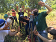 Ações foram coordenadas pelos Escritórios Regionais do Instituto Água e Terra dos dois municípios. Além disso, em Ponta Grossa também ocorreu a soltura de 15 mil peixes no Rio Pitangui e Lago Olarias.
Foto: IAT Pitanga