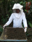 Investigação apontou que produto atingiu nabo forrageiro em flor, que atraía as abelhas. Agricultor foi autuado pela Adapar.
Foto: SEAB