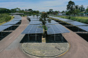 Copel e UFPR inauguram usina solar fotovoltaica em Curitiba
. Foto: Alessandro Vieira/AEN