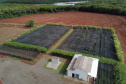  Está instalada em Pato Bragado, no Oeste do Paraná, a Unidade de Produção de Extratos da Sustentec Agricultores Associados. Trata-se de uma instituição que agrupa produtores e técnicos que tem por objetivo criar soluções para a promoção do desenvolvimento sustentável na cadeia produtiva de plantas medicinais.