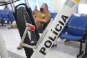 Policiais militares passam por capacitação de ciclopatrulhamento no Litoral
. Foto:PMPR