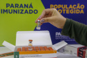 Governo começa a distribuir vacinas no Interior do Paraná.
Foto: Gilson Abreu/AEN
19.01.2021