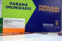 
Agilidade das equipes da Saúde garante entrega a todos os municípios do Paraná.
Foto: Américo Antonio/SESA
19.01.2021