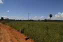 24.03.2021 - Comitiva da Nova Ferroeste visita pontos onde vai passar a nova ferrovia,  em Mundo Novo, Mato Grosso do Sul.
 Foto Gilson Abreu/AEN