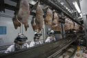 Com crescimento de 3,9%, Paraná produz um terço da carne de frango do Brasil .Foto : Jonathan Campos / AEN
