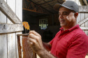 Produção de mel.
Ortigueira - Pr
Foto: Gilson Abreu/AEN