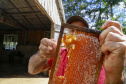 Produção de mel.
Ortigueira - Pr
Foto: Gilson Abreu/AEN
