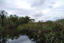 Programas e ações de conservação e restauração garantem a biodiversidade do Paraná.

Foto: /SEDEST