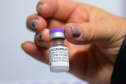 Vacina da Pfizer - Foto: Américo Antonio/SESA