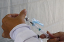 Com eficiência superior a 80%, Paraná ultrapassa 3,6 milhões de vacinas aplicadas contra a Covid-19.
Foto: Gilson Abreu/AEN