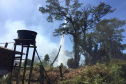 Nos primeiros quatro meses de 2021, o Corpo de Bombeiros do Paraná registrou 2.760 casos de incêndios em vegetação nativa ou plantação, 1.181 a menos que no primeiro quadrimestre de 2020, representando uma queda de 30%.  -  Curitiba, 05/07/2021  -  Foto: SESP-PR