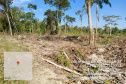 Força-tarefa no litoral identifica mais de 100 hectares de desmatamento ilegal  -  curitiba, 03/08/2021  -  Foto: IAT