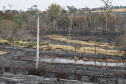 Desligamentos por queimadas aumentam 30% no Paraná Foto COPEL
