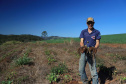 Gengibre e inhame impulsionam a agricultura familiar em Tamarana, na Região Norte.Na foto. o André Gouveia da Fonseca. Foto: José Fernando Ogura/AEN