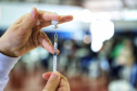 Mais de 63% dos adolescentes de Toledo já receberam a primeira dose do imunizante contra a Covid-19. Foto: José Fernando Ogura/AEN