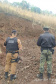 Policiais e agentes do IAT aplicam mais de R$ 1 milhão de multas e quatro pessoas são presas durante a Operação Nascente Viva  -  Curitiba, 31/08/2021  -  Foto: PMPR
