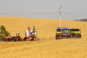 Produtores de milho começam plantio da primeira safra no Paraná.  Foto:Jaelson Lucas / Arquivo AEN