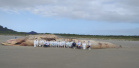 IAT orienta sobre cuidados com baleia morta encontrada na Ilha do Mel. Foto:LEC/UFPR