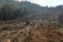 Operação Mata Atlântica em Pé aplicou R$ 15,6 milhões em multas por desmatamento ilegal . Foto: SESP