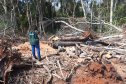 Operação Mata Atlântica em Pé aplicou R$ 15,6 milhões em multas por desmatamento ilegal . Foto: IAT