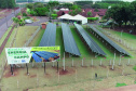 Usina Fotovoltaica Nelson Paludo, em Assis Chateaubriand.   -  Foto: Sistema FAEP