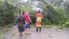 Defesa Civil desloca equipe para acompanhar desdobramentos das chuvas no Litoral
Foto: Defesa Civil Paraná