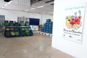 Ceasa Paraná fará concurso público para modernizar quadro funcional - Foto: Ari Dias/AEN