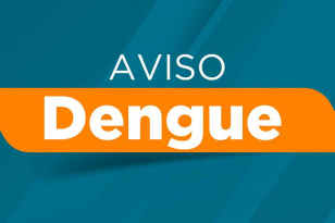 INFORME DENGUE