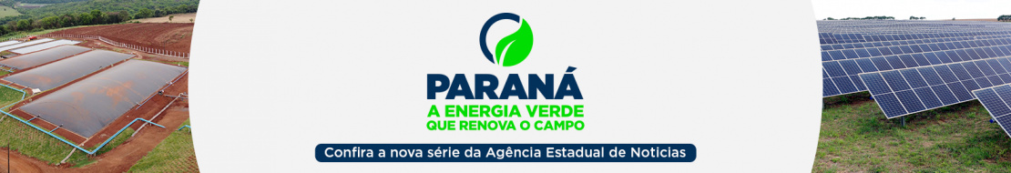 Paraná: a energia verde que renova o campo