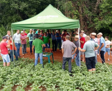 Organizado pelo IDR-Paraná (Instituto de Desenvolvimento Rural do Paraná-Iapar-Emater) e Embrapa Soja o Giro Técnico da Soja-Safra 2021/2022 tem início na próxima segunda-feira, dia 29 e será realizado em 16 municípios do Paraná. O objetivo é promover uma discussão entre extensionistas, pesquisadores e produtores sobre os resultados das boas práticas agrícolas e como essas tecnologias podem ser adotadas na propriedade.  - Curitiba, 25/11/2021 - Foto: IDR-PARANÁ