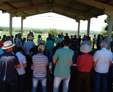 Organizado pelo IDR-Paraná (Instituto de Desenvolvimento Rural do Paraná-Iapar-Emater) e Embrapa Soja o Giro Técnico da Soja-Safra 2021/2022 tem início na próxima segunda-feira, dia 29 e será realizado em 16 municípios do Paraná. O objetivo é promover uma discussão entre extensionistas, pesquisadores e produtores sobre os resultados das boas práticas agrícolas e como essas tecnologias podem ser adotadas na propriedade.  - Curitiba, 25/11/2021 - Foto: IDR-PARANÁ