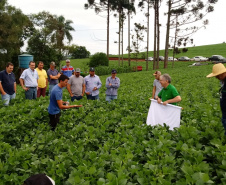 Organizado pelo IDR-Paraná (Instituto de Desenvolvimento Rural do Paraná-Iapar-Emater) e Embrapa Soja o Giro Técnico da Soja-Safra 2021/2022 tem início na próxima segunda-feira, dia 29 e será realizado em 16 municípios do Paraná. O objetivo é promover uma discussão entre extensionistas, pesquisadores e produtores sobre os resultados das boas práticas agrícolas e como essas tecnologias podem ser adotadas na propriedade.  - Curitiba, 25/11/2021 - Foto: IDR-PARANÁ