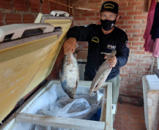 Cumprimento a denúncia sobre comercialização ilegal de peixes nativos - Curitiba, 17/02/2022