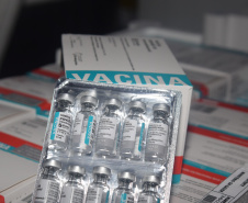 Mais de 500 mil vacinas para dose de reforço chegam ao Paraná