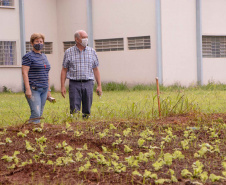 Parceria entre Hospital Universitário e Colégio Agrícola inicia produção de ervas terapêuticas