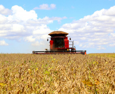 Paraná pode colher 20,9 milhões de toneladas de soja