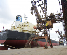  Corrida do Porto de Paranaguá arrecada 14 toneladas de alimentos com 1.200 inscrições
