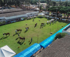 IDR-Paraná fomenta o Turismo Rural e a produção agropecuária na EXPOINGÁ 2023