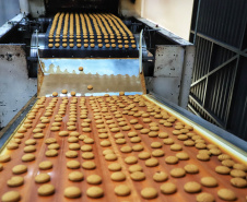 Chocolates colocam Paraná em boa posição em consumo, emprego e renda
