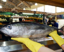 Sesa orienta sobre cuidados ao escolher o pescado para a Sexta-feira Santa   