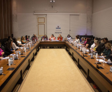 SEMI: Conselho Estadual dos Direitos da Mulher instituiu comissão eleitoral e definiu pautas para a garantia de direitos