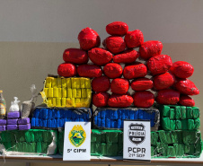 Polícias Militar e Civil apreendem mais de 200 quilos de drogas em Cianorte