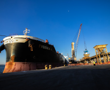 Volume de fertilizantes importados pelos portos do Paraná tende a aumentar nos próximos três meses