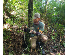 Estudo registra populações de grandes mamíferos em áreas da Copel na Serra do Mar