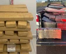 Polícia Militar apreende mais de 700 quilos de drogas em ocorrências distintas