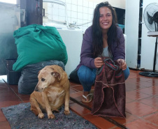 Pessoas privadas de liberdade produzem ponchos e roupas pet para destinar a moradores e cães de rua em Cascavel