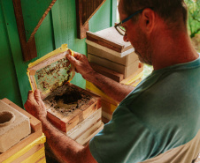  O produtor Erich de Barros Lange participou da capacitação realizada pelo Tecpar e já instalou caixas de abelhas na sua chácara em Morretes. 