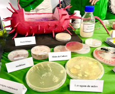 UEL na SBPC: Vírus, bactérias e fungos “do bem” infectam estande da 75ª Reunião Anual, em Curitiba