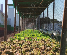 Projeto Semear, da Polícia Penal do Paraná, fornece alimentação orgânica a crianças de escola municipal em Foz do Iguaçu